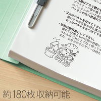 プラス 紙製ファイル フラットファイル 年組氏名 B5 タテ ブルー 79525 1冊