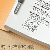 プラス 紙製ファイル フラットファイル 年組氏名 B5 タテ イエロー 79527 1冊