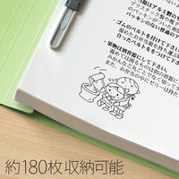 プラス 紙製ファイル フラットファイル 年組氏名 B5 タテ グリーン 79526 1箱(1袋(10冊入)×10)
