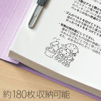 プラス 紙製ファイル フラットファイル 年組氏名 B5 タテ バイオレット 79522 1箱(1袋(10冊入)×10)