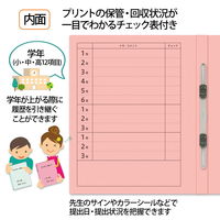 プラス 紙製ファイル キャリア・パスポート フラットファイル A4 児童用 ピンク 91388 1箱（1袋（10冊入）×10）