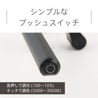 LEDモニターライト 3段階調色 無段階調光 ホワイト タイプC給電 スワン電器 ML-1510WH 1台