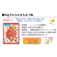 やわらかはちみつ梅 40g 6袋 カンロ おつまみ/珍味