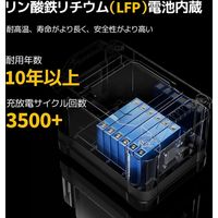 BougeRV ポータブル電源 FORT1000 SYZ-G1000 1台（直送品）