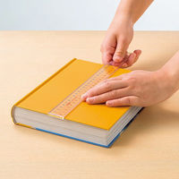 ライオン事務器 アクリル製ピックアップ定規 15cm L-5 日本製 27065 1本