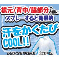 白元アース アイスノン シャツミスト せっけんの香り 大容量300mL 1本