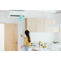 山崎産業 2989.jp+ ムーンダスターEX 1本