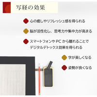 あかしや 写経用下敷 Y-AE-09 1個