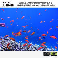 PENTAX 防水防塵 工事用 デジタルカメラ WG-8BK 1台