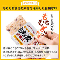 もち麦満腹バー 十六雑穀プラス 　1セット（1個×10）　UHA味覚糖