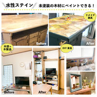 カンペハピオ ボタニカルペイント ケイブブルー 600ml 9025089 1個（直送品）