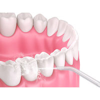 【口腔洗浄器】 ライソン 口腔洗浄器 水ようじ KSHL-001L 1台