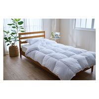 ディーブレス プリマロフト1200 肌掛け羽毛ふとん シングル 58007S 1枚（直送品）