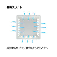 リッチェル トトノ 野菜・冷凍室用 伸縮ストッカー深型 レギュラー 236893 1個