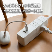 ファーゴ 延長コード 電源タップ AC 4個口 USB付き 1m ホワイト PT1430WH 1個