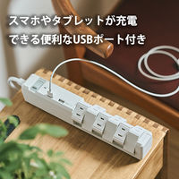 ファーゴ 延長コード 電源タップ AC 12個口 USB付き 1m ホワイト PT160112WH 1個