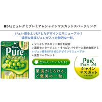 ピュレグミ プレミアムシャインマスカットスパークリング 54g 1セット（1袋×6） カンロ グミ キャンディー