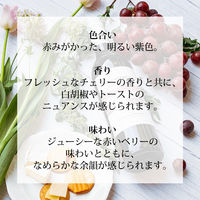 ジェイコブス・クリーク オーガニック シラーズ・カベルネ オーストラリア 赤ワイン ミディアムボディ 750ml 1本 ペルノ・リカール