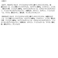 peripera（ペリペラ） ブイ シェーディング 03 GRAYISH COOL 韓国コスメ