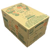 サーフビバレッジ みかんと緑茶 500ml 1セット（48本）