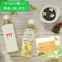 サーフビバレッジ 洋梨ジャスミンティー 500ml 1セット（48本）