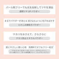 ettusais（エテュセ） スキンケアパウダー （ルース） 10g