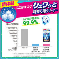 洗浄力 シュワッと洗たく槽クリーナー 除菌 消臭 個装タイプ 3回分 エステー（わけあり品）