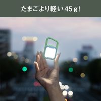 ムサシ 充電式 ぴかり MINI LIGHT ディープグリーン/ブルー WRC-25GB 1台 67-5188-03（直送品）
