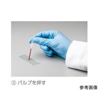 サーモフィッシャーサイエンティフィック キャピラリートランスファーピペット 25μL 1箱(500本入) 1028-100 1箱(1本)（直送品）