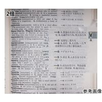 池田レンズ工業 双眼メガネルーペ メガネタイプ 1.6倍 2倍 2.3倍 レンズ3枚セット ブラック HF-60DEFBK 1個（直送品）