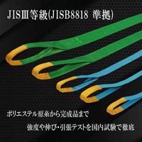フリーク JISIIIスリングベルト E型2500kg 幅75mm×長さ5m 81062 1本（直送品）