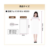 RABLISS 圧縮 フェイスタオル(個別包装) 6枚×100個入 KO293 1ケース(600枚) 65-9234-90（直送品）