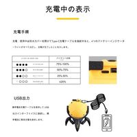 アスコ スタープラネタリウム イエロー D77(Y) C1000454 1台（直送品）