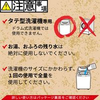 茂木和哉 洗濯槽クリーナー 塩素系 1.8kg 1個 レック