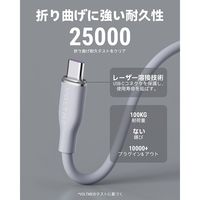 VOLTME シリコン 充電ケーブル USB-C&USB-C 100W 1m C2124 1点