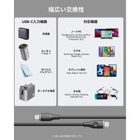 VOLTME ナイロン 充電ケーブル USB-C&USB-C 100W 1.8m C2170 1点