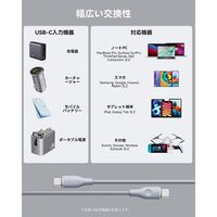VOLTME ナイロン 充電ケーブル USB-C&USB-C 100W 1m C2169 1点
