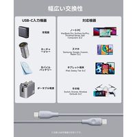 VOLTME ナイロン 充電ケーブル USB-C&USB-C 100W 1.8m C2173 1点