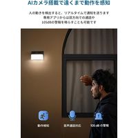 Anker Eufy Solar Wall Light Cam S120 T81A0311 1個