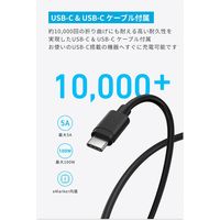Anker Charger (45W) with USBーCケーブル B2653N11 1本