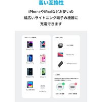 Anker 310 USBーC & ライトニング ケーブル 1.8m A81A2011 1本