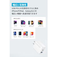 Anker Charger (20W、 2ーPort) A2348121 1個