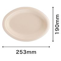 パックスタイル バガス容器 新BB楕円プレート 250-190 00709947 1袋(50枚)