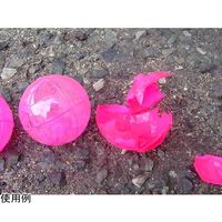 新北九州工業 防犯カラーボール マーキングエッグ 2個 SS-810 1個 67-8030-65（直送品）