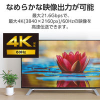 ディスプレイポートケーブル DisplayPort 耐久 ver1.2準拠 1m 黒 ECCAC-DP1210BK エレコム 1個（直送品）