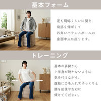 バランスボール 四角い 椅子 チェア 耐荷重120kg ベージュ HCF-BBCUBE55BE エレコムヘルスケア 1個