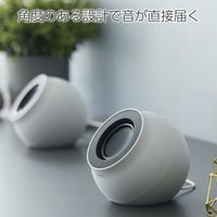 パソコン用スピーカー USB接続 4.4W 白 SP-P10CUSBWH エレコム 1個