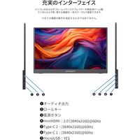 ジャパンネクスト  17.3インチ 4K モバイルディスプレイ(3840x2160/IPS) JN-MD-IPS1732UHDR（直送品）
