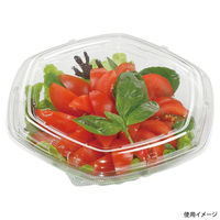 エフピコ サラダ容器 APヘキサ 19-18(55) 本体 エコ 7R001918 1ケース(400個(50個×8)（直送品）