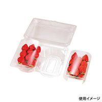 エフピコチューパ フルーツ容器 VF-1200AP CP003973 1ケース(150個(25個×6)（直送品）